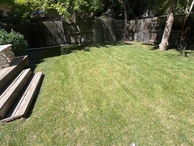 Lawn care service in Denver, 80231