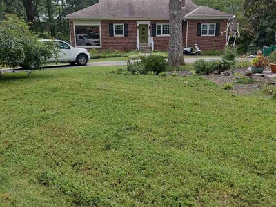 Lawn care service in Richmond, 23235