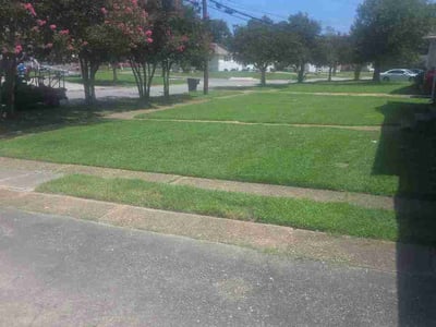 Lawn care service in Norfolk, 23518