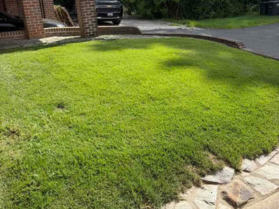 Lawn care service in Washington, 20019