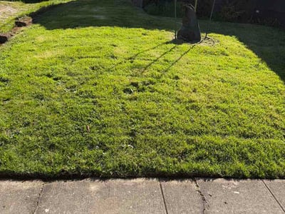 Lawn care service in Portland, 97217