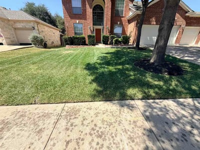 Lawn care service in Cedar Park, 78613
