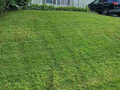 Lawn care service in Roscoe, 61073