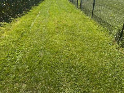 Lawn care service in Springfield, 45503