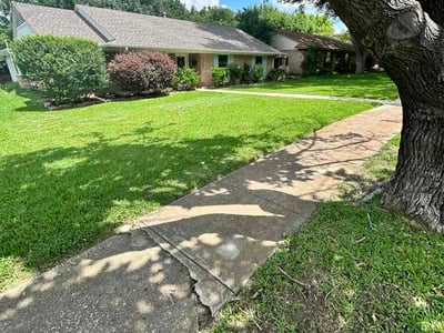 Lawn care service in Dallas, 75240
