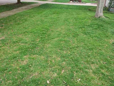 Lawn care service in Waterford Township, 48327