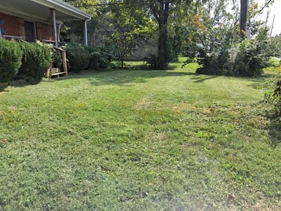 Lawn care service in Lexington, 40503