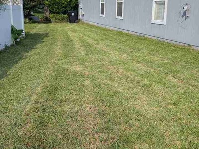 Lawn care service in Orange Park, 32065
