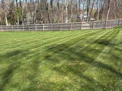 Lawn care service in Southborough, 01772