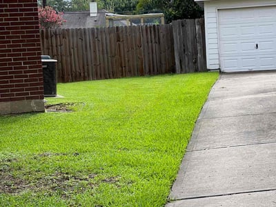 Lawn care service in Pearland, 77584
