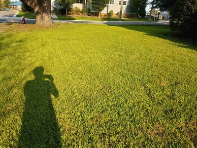 Lawn care service in Hampton, 23669