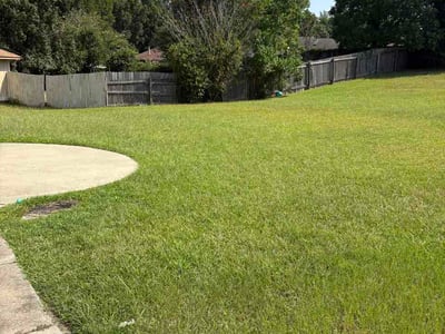 Lawn care service in Columbus, 31907