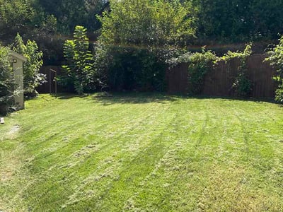 Lawn care service in St. Louis, 63125