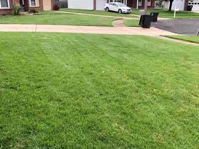 Lawn care service in Florissant, 63031