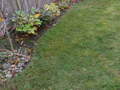 Lawn care service in , 