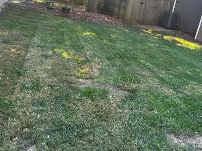 Lawn care service in , 