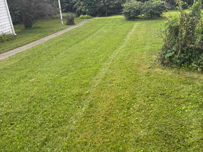Lawn care service in Waukegan, 60085