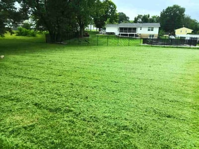 Lawn care service in Glen Burnie, 21060