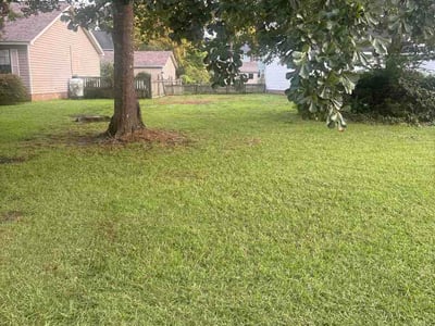 Lawn care service in Wilmington, 28411