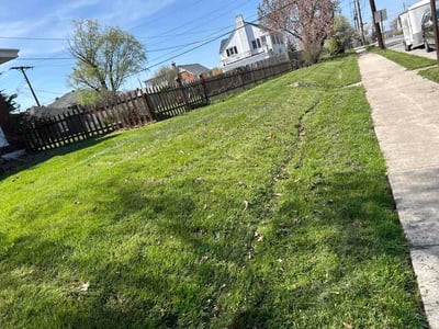 Lawn care service in York, 17403