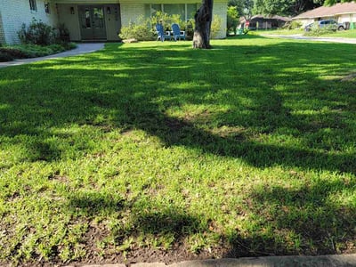 Lawn care service in Houston, 77035