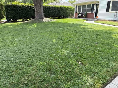 Lawn care service in Virginia Beach, 23462