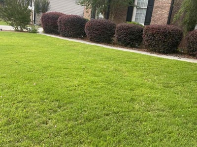 Lawn care service in Dacula, 30019