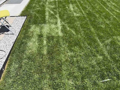 Lawn care service in Moreno Valley, 92557