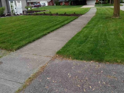 Lawn care service in Southfield, 48076
