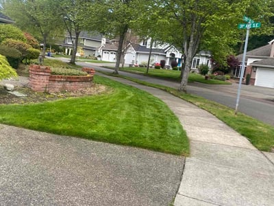 Lawn care service in Bothell, 98021