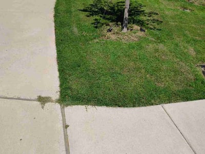 Lawn care service in Greenville, 75402