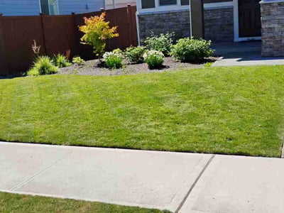 Lawn care service in Buckley, 98321