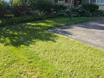 Lawn care service in Milwaukee, 53224