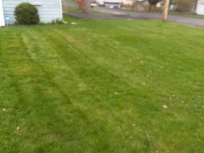Lawn care service in Syracuse, 13219