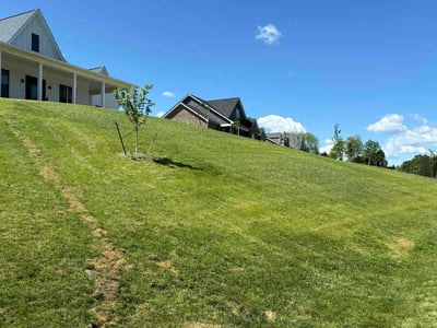 Lawn care service in Daleville, 24083