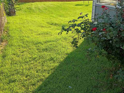 Lawn care service in Imperial, 63052