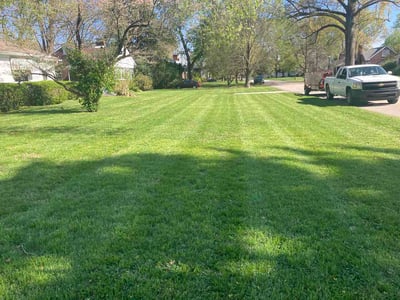 Lawn care service in Louisville, 40207