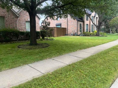 Lawn care service in Frisco, 75033