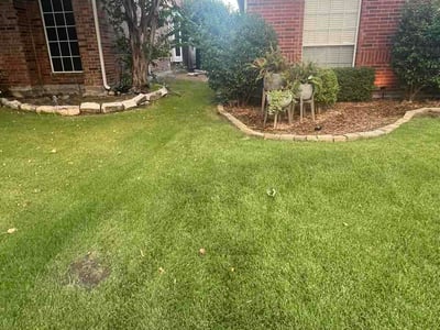 Lawn care service in Frisco, 75034