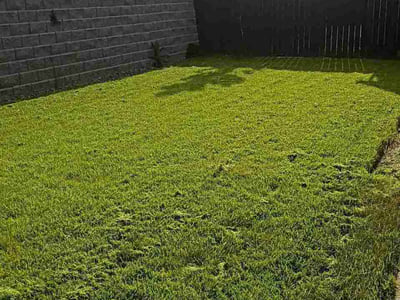 Lawn care service in Hillsboro, 97123
