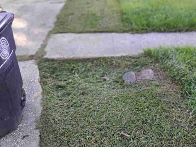 Lawn care service in Baton Rouge, 70812
