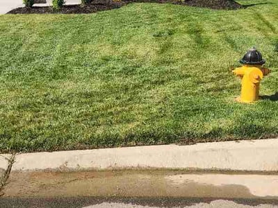 Lawn care service in Olathe, 66062