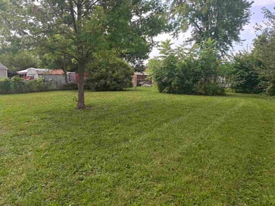 Lawn care service in Columbus, 43228
