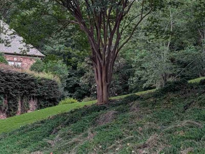 Lawn care service in Birmingham, 35242