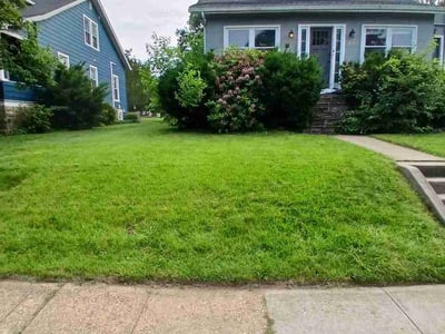 Lawn care service in Baltimore, 21229