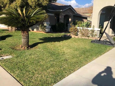 Lawn care service in Moreno Valley, 92551