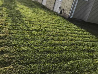 Lawn care service in Kenosha, 53144