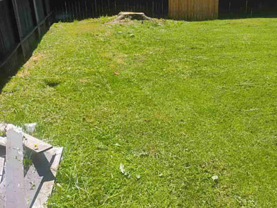 Lawn care service in Tacoma, 98443