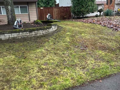 Lawn care service in Kirkland, 98034