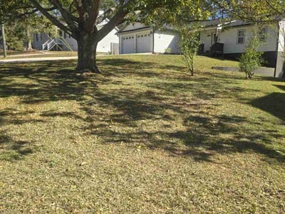 Lawn care service in Palmetto, 30268
